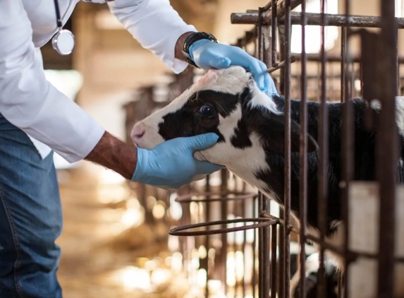 Wetherill Park Vet Clinic - Wetherill Park, NSW