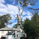 LLC Broken Branch Tree Service - Tree Service