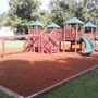 Mulch and More