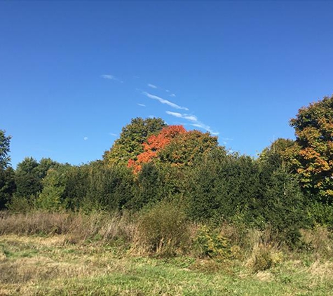 Anderson Tree Farm - Plainfield, IL