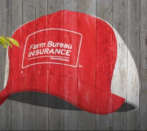 Farm Bureau Insurance Service - Camden, TN