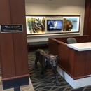 University of MO Alumni Associates-Reynolds Alumni Center - Colleges & Universities