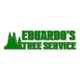 Eduardo's Tree Service(Portland/Beaverton/entire portand metro)
