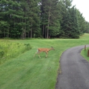Eagle River Golf Course - Golf Instruction