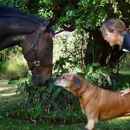 Hands Horses and Hounds LLC - Pet Services