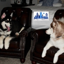 Pet Sitters of Ballantyne