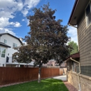 TOHO Tree Care - Tree Service