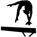 Maximum Velocity Gymnastics, Inc. - Gymnastics Instruction