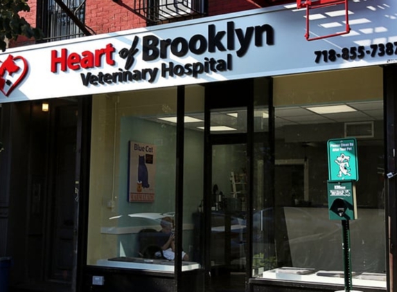 Heart of Brooklyn Veterinary Hospital - Flatbush - Brooklyn, NY