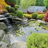 FiveSTAR Landscape gallery