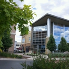 Council Tree Library