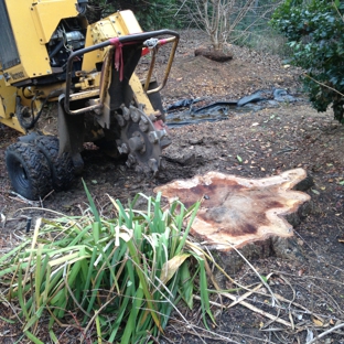 Capital City Stump Grinding