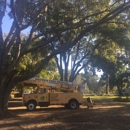 Brown's Tree Service and Land Clearing - Tree Service