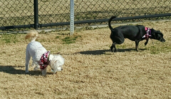 Frisco Dog Park - Frisco, TX