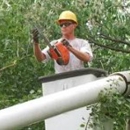 Clinton Tree Service - Lawn Maintenance