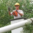 Clinton Tree Service - Tree Service