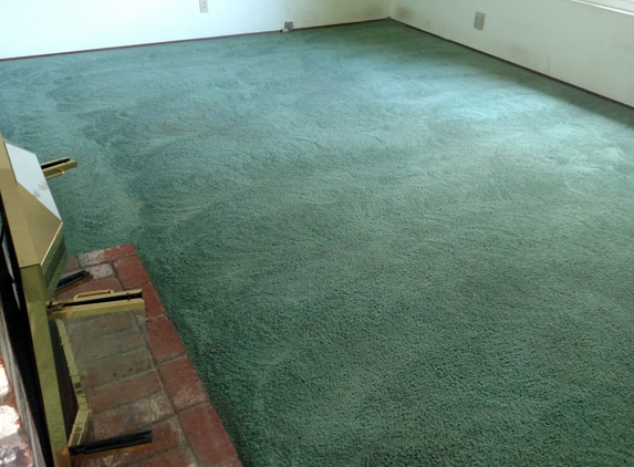 Excellence Carpet & Upholstery Cleaning - Davis, CA