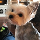 Brock Veterinary Clinic - Veterinary Clinics & Hospitals