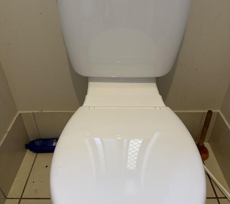 Fallon Solutions. Brand new toilet