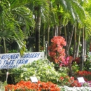 Kathy's Korner Nursery Inc - Plants