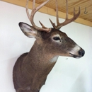 Luster Taxidermy - Taxidermists
