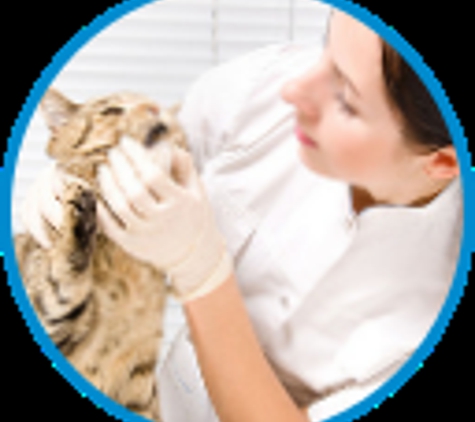 Knollwood Animal Hospital - Lake Bluff, IL