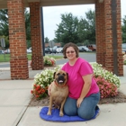 Pawsitive Canine Training