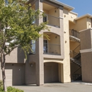 The Tides Apartments - Apartments