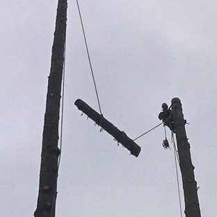 Bonnell Tree Technicians - Cosmopolis, WA