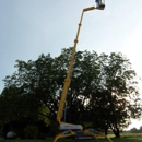 Smothers Tree & Clean-up - Tree Service