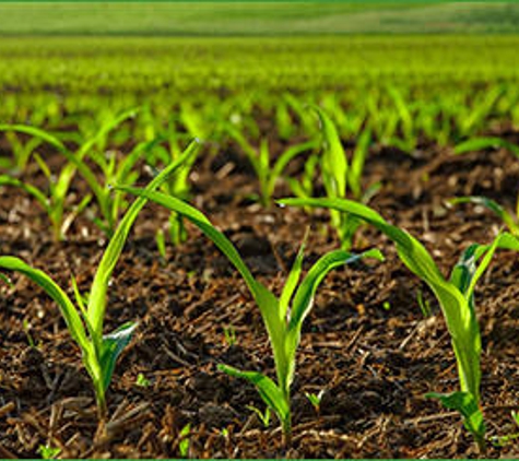 WMG Agriservices - Goondiwindi, QLD