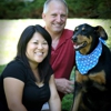 Pet 'N Play - Your Personal Pet Sitters gallery