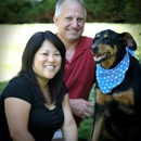 Pet 'N Play - Your Personal Pet Sitters - Pet Services
