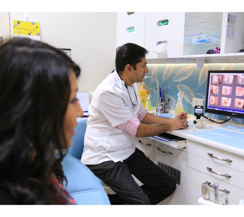 Dentist For Chickens - Swansea Dental Care - Blacksmiths, NSW