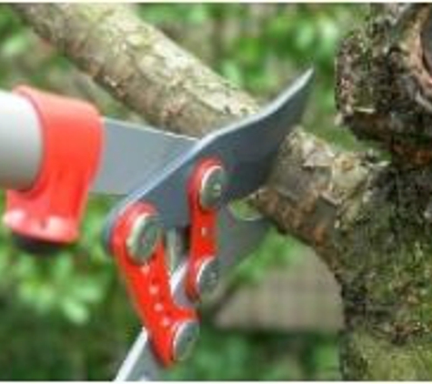 Timber Tree Service - Blacksburg, VA