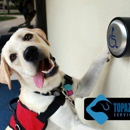 Topaz Canine Services - Dog Training