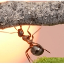 Xterminator Pest Control - Pest Control Services