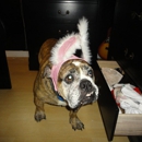 Trinity Oaks Pet Center - Veterinarians