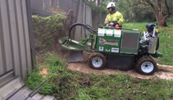 Waratah Professional Tree Care Pty Limited - Warners Bay, NSW. Quality service at affordable prices.