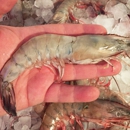 The Shrimp Net - Fish & Seafood Markets