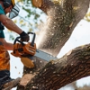 Burke & Son Tree Service gallery