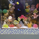 B S Fish Tanks - Aquariums & Aquarium Supplies