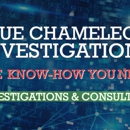 Blue Chameleon Investigations - Computer Security-Systems & Services