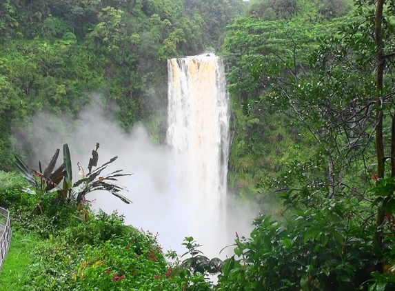 Hakalau Vacation Rental - Hakalau, HI. Akaka Falls during high water.