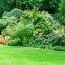 Ashley Lawn and Garden - Lawn Maintenance