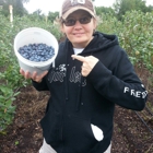 Lake Catherine Blueberries