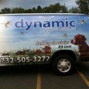 Dynamic Pest Control - Pest Control Services