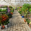 Evans Nursery LLC gallery