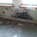 Mold No More, LLC - Inspection Service