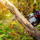 Sam Tree Service & Lawn Care - Tree Service